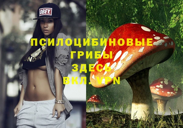 мет Алзамай