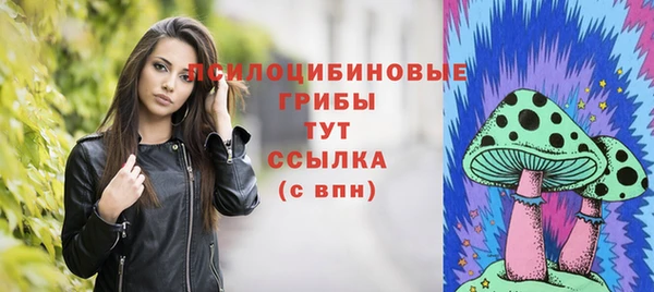 МДПВ Абаза