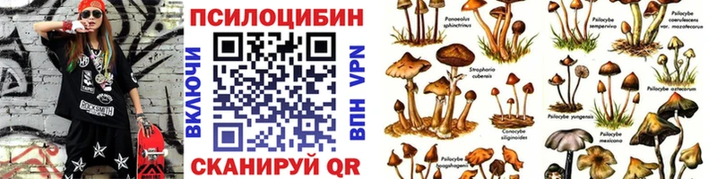 Галлюциногенные грибы мицелий  маркетплейс наркотические препараты  ссылка на мегу ССЫЛКА  Кызыл  закладки 